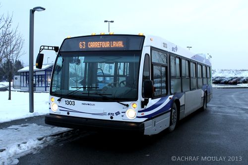 STL 1303.JPG