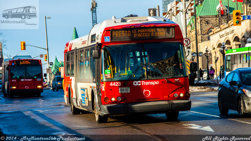 File:OC-4423.jpg